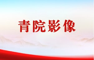 树什么样的政绩